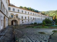 Programa Revive tem retorno anual de €2,3M